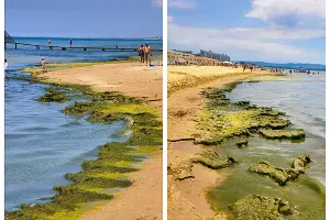  &copy;&nbsp;Скриншот из телеграм-канала &laquo;Маковозовы&raquo; https://t.me/makovozovy/62527