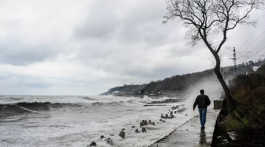  &copy;&nbsp;Фото Нины Зотиной, Юга.ру