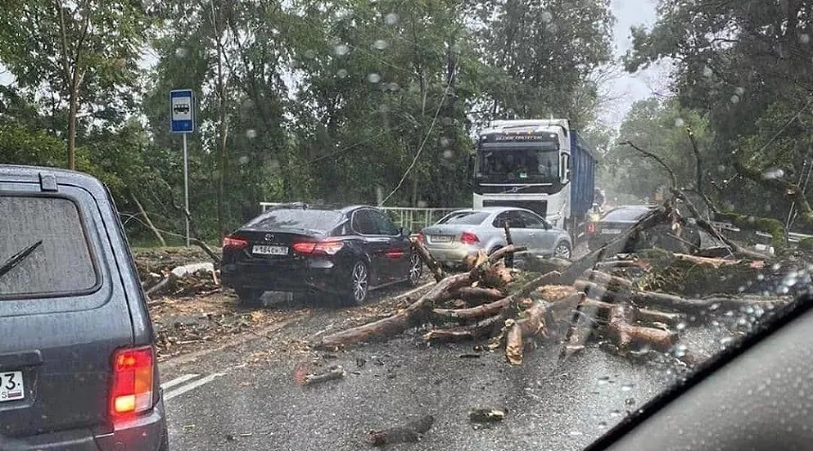  &copy;&nbsp;Фото со страницы instagram.com/incident_sochi