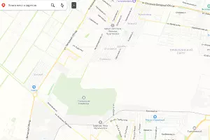 Белое пятно на карте — летная база &copy;&nbsp;Скриншот сайта yandex.ru/maps