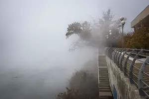 Туман в парке «Солнечный остров» &copy;&nbsp;Фото Елены Синеок, Юга.ру