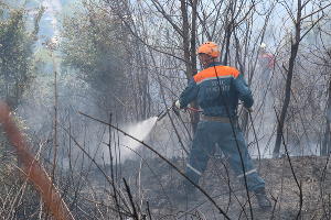  © Фото пресс-службы ЮРПСО МЧС России