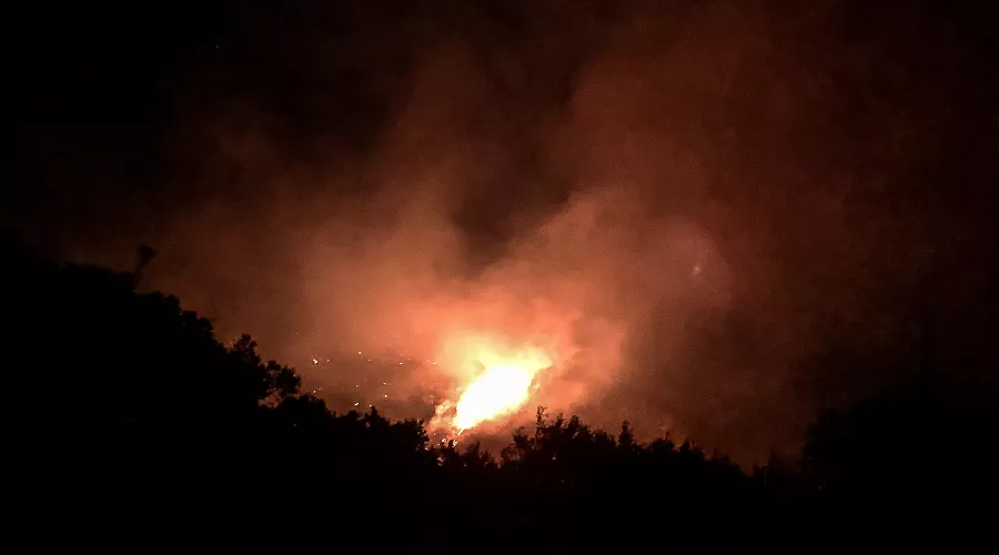 Пожар в заповеднике «Утриш» &copy;&nbsp;Фото Виталия Кавтарадзе