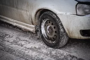  &copy;&nbsp;Фото Елены Синеок, Юга.ру