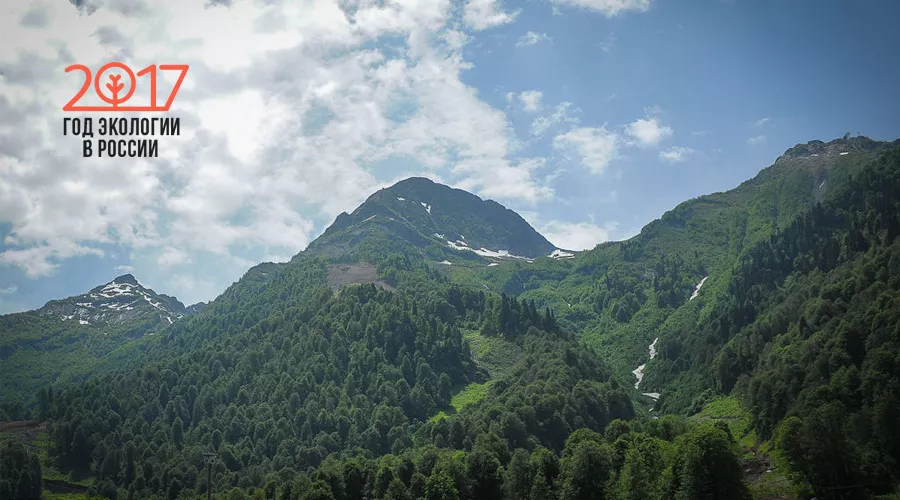  &copy;&nbsp;Фото Нины Зотиной, Юга.ру