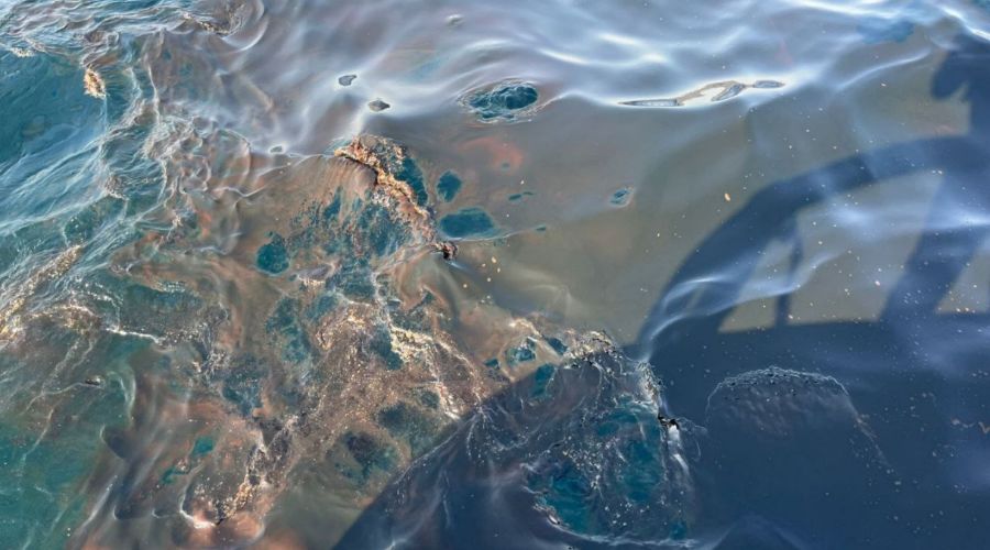  &copy;&nbsp;Скриншот из телеграм-канала Юрия Озаровского https://t.me/MoreOz/105083