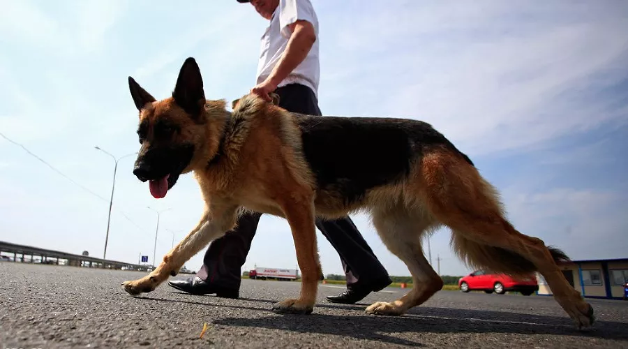  &copy;&nbsp;Фото Влада Александрова, Юга.ру