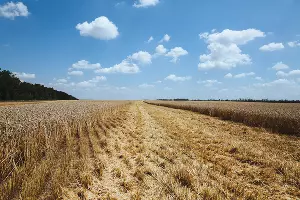  &copy;&nbsp;Фото Амины Ибрагимовой, Юга.ру