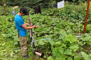  © Фото пресс-службы Кавказского биосферного заповедника