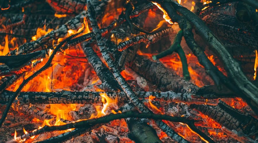  &copy;&nbsp;Фото с сайта pixabay.com