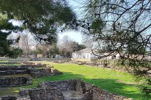  &copy;&nbsp;Фото Марины Солошко, Юга.ру