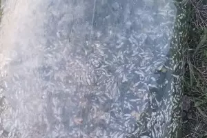  &copy;&nbsp;Фото предоставлено Иваном Любивым