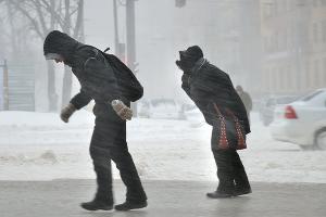  &copy;&nbsp;Фото Андрея Бойко, Юга.ру