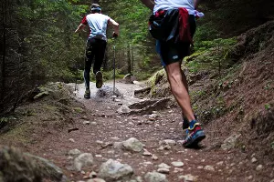  &copy;&nbsp;Фото с сайта pixabay.com