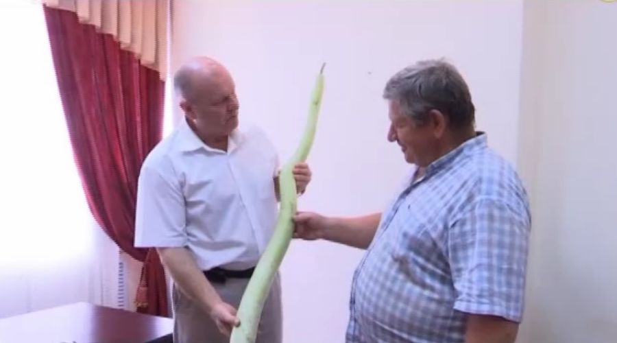  &copy;&nbsp;Скриншот из видео