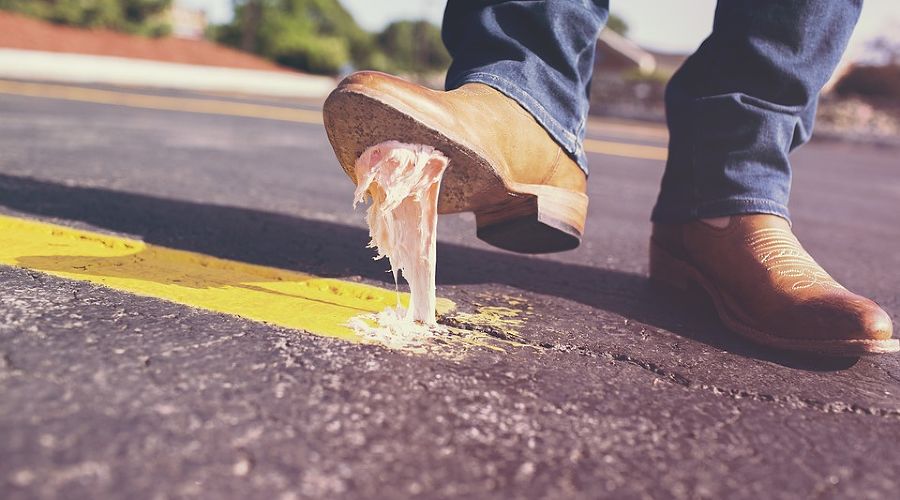  &copy;&nbsp;Фото с сайта pixabay.com