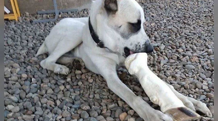  © Фото из инстаграма Typodar, instagram.com/typodar/