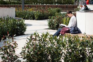 Парк «Краснодар»  &copy;&nbsp;Фото Елены Синеок, Юга.ру