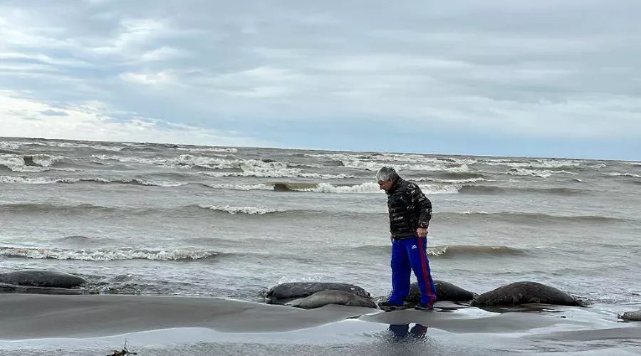  &copy;&nbsp;скриншот из телеграм-канала Минприроды РД https://t.me/mprdag2020/770
