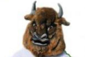 Участник конкурса на лучший талисман © Фото пресс-службы ФК «Дружба»