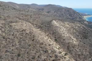 Заповедник "Утриш" &copy;&nbsp;Фото Андрея Маковозова, предоставлено Юга.ру