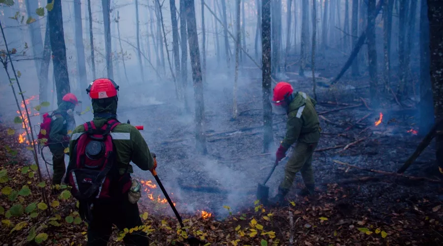  &copy;&nbsp;Фото со страницы vk.com/dobrofire