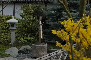 Японский сад весной &copy;&nbsp;Фото Марины Солошко, Юга.ру