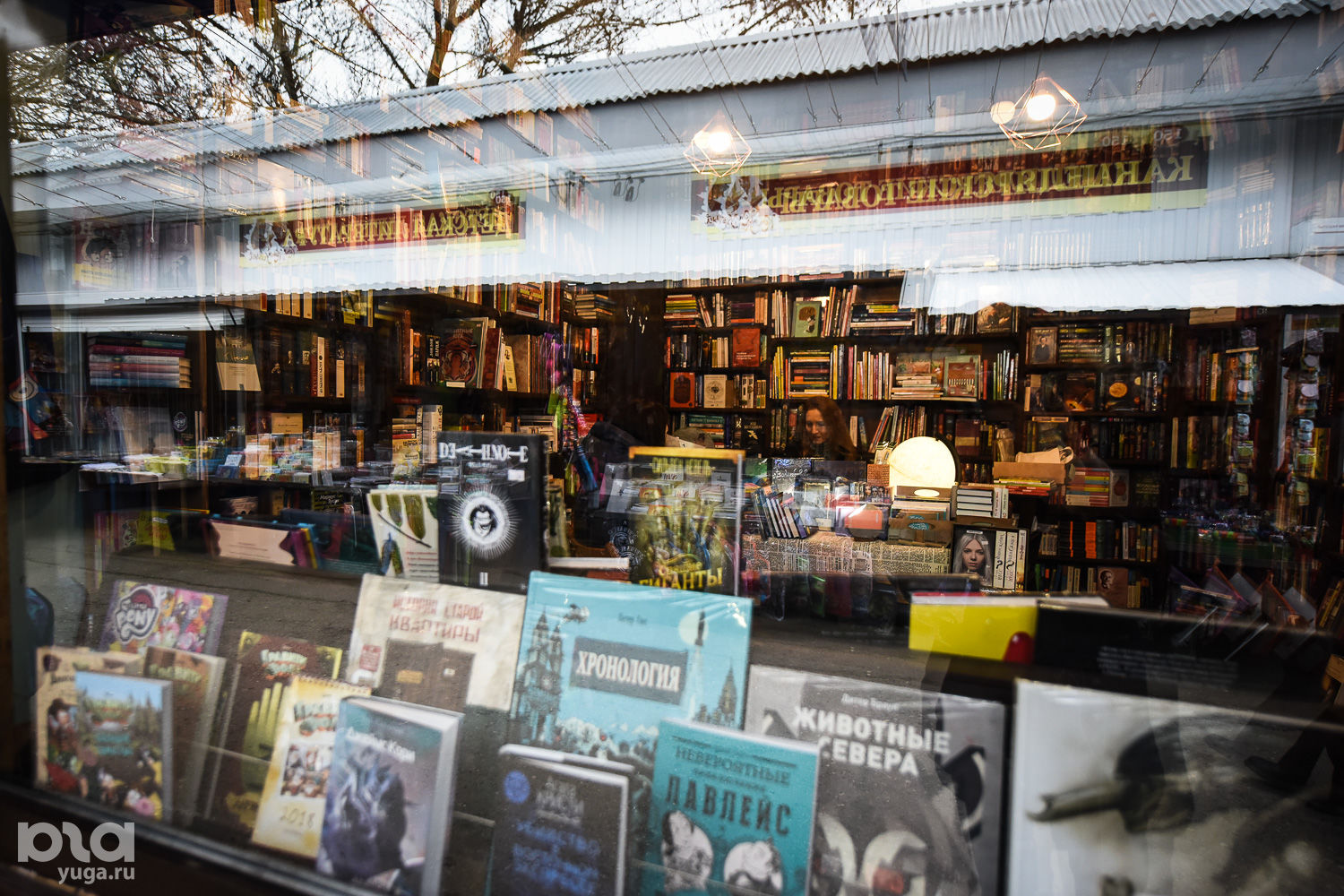Книжный магазин «Кот ученый» © Фото Елены Синеок, Юга.ру