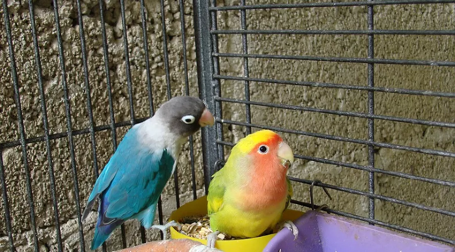  &copy;&nbsp;фото с сайта pixabay.com