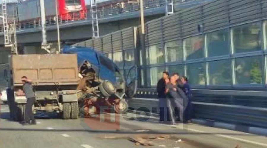  &copy;&nbsp;Фото из телеграм-канала t.me/chp_sochi