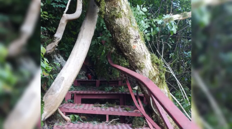  &copy;&nbsp;Фото пресс-службы Кавказского заповедника