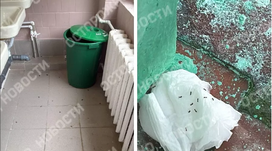  &copy;&nbsp;Скриншот фото из телеграм-канала &laquo;Осторожно, новости&raquo;