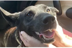  &copy;&nbsp;Скриншот с сайта www.change.org