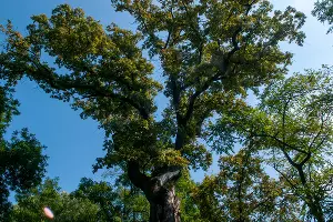  &copy;&nbsp;Фото Дмитрия Пославского, Юга.ру