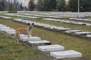  &copy;&nbsp;Фото Елены Синеок, Юга.ру