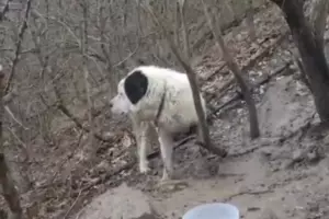  &copy;&nbsp;Кадр из видео телеграм-канала &laquo;ЧП Новороссийск&raquo;, t.me/chpnvrsk