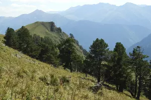 Общий вид кластера &copy;&nbsp;Фото пресс-службы отделения &laquo;Российский Кавказ&raquo; WWF России