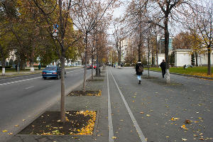  © Фото Елены Синеок, Юга.ру