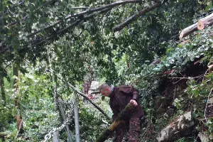  &copy;&nbsp;Фото пресс-службы Кавказского биосферного заповедника