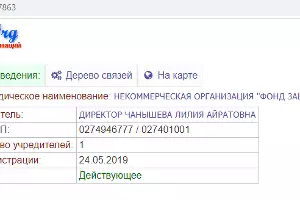  &copy;&nbsp;Скриншот страницы сайта www.list-org.com