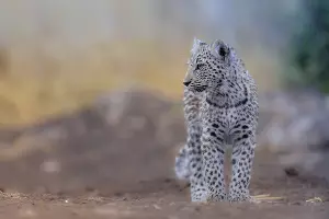  &copy;&nbsp;Фото пользователя wirestock с сайта freepik.com