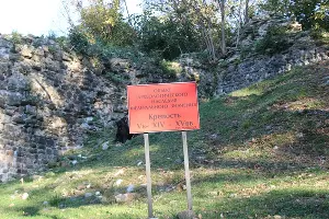 Годлик &copy;&nbsp;Фото Екатерины Штыбиной