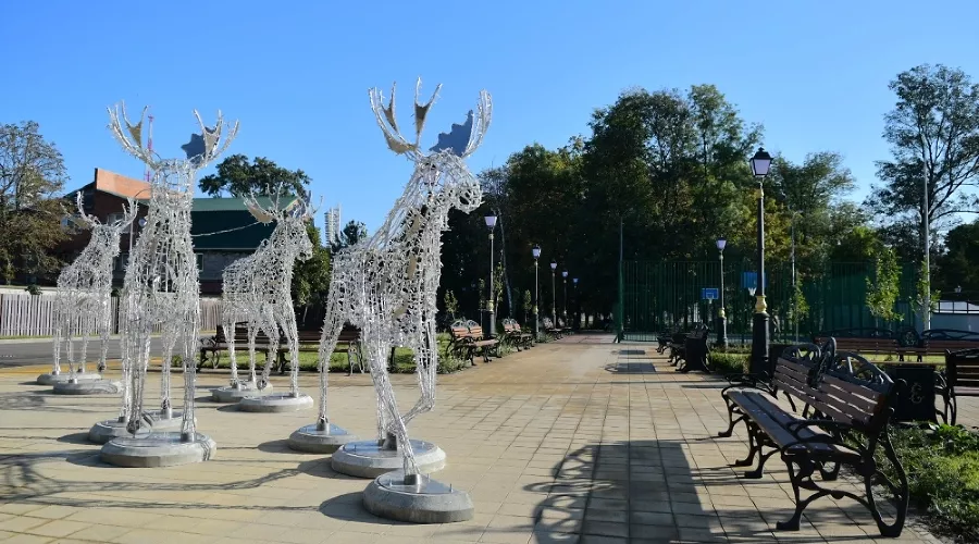  &copy;&nbsp;Фото пресс-службы администрации Краснодара