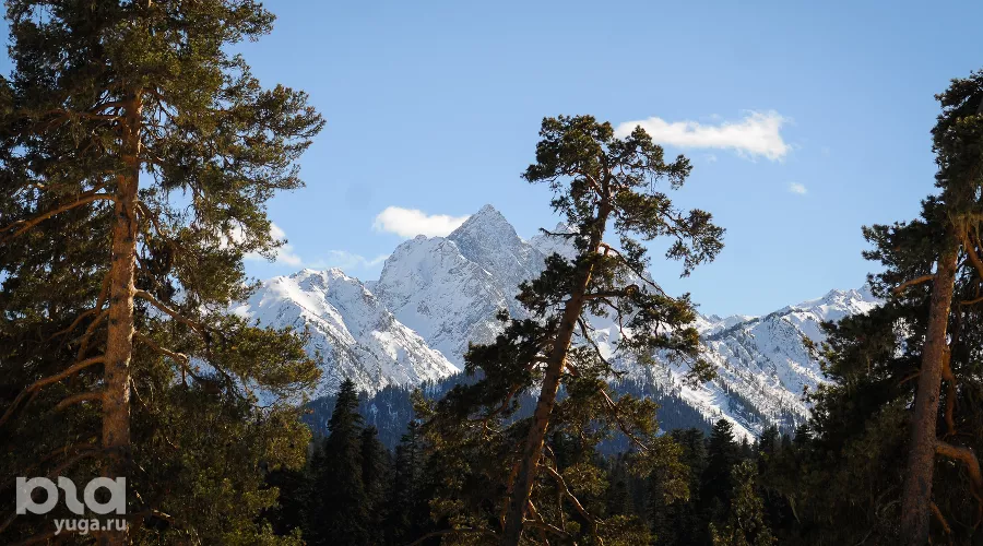  &copy;&nbsp;Фото Елены Синеок, Юга.ру