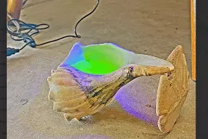  &copy;&nbsp;Скриншот фото из письма от Артура Голякова