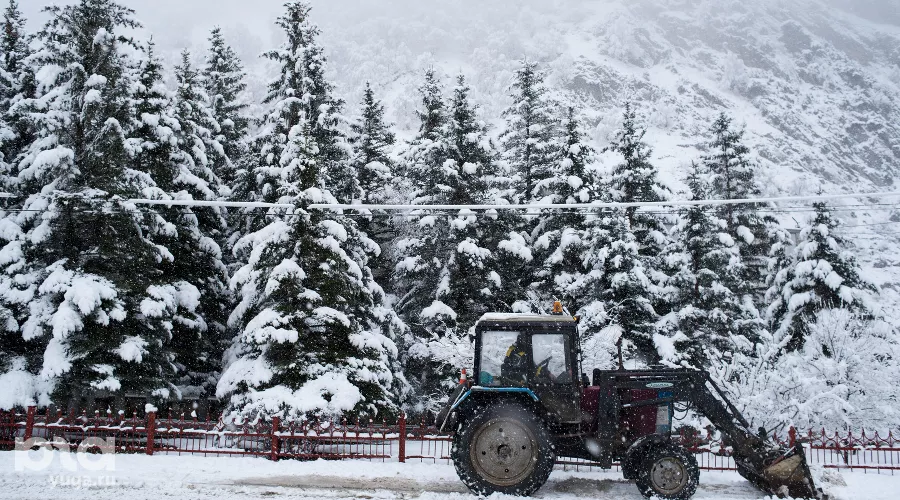  &copy;&nbsp;Фото Антона Подгайко, Юга.ру