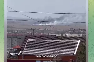 Пожар в плавнях Темрюка, 25 февраля 2023 г. &copy;&nbsp;Скриншот видео телеграм-канала &laquo;Темрюк Инфо&raquo;, t.me/temruk_info
