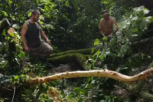  &copy;&nbsp;Фото пресс-службы Кавказского биосферного заповедника