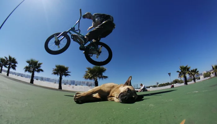 Андрей Ашастик &copy;&nbsp;Фото предоставлено Андреем Ашастиком