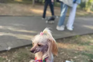  &copy;&nbsp;Фото предоставила Виктория — хозяйка Аси